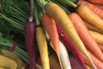 carrots Yoga of the Kitchen